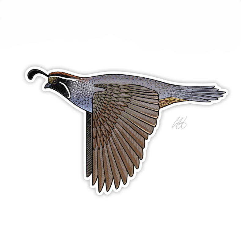 Casey Underwood Bird Decal