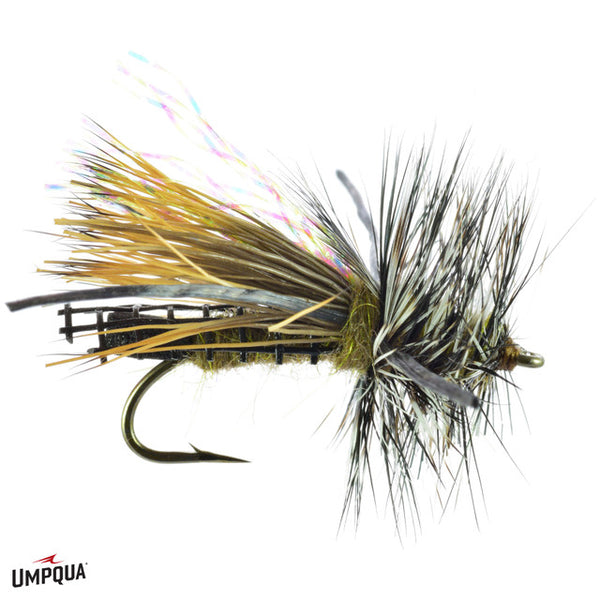 Umpqua's Skwala
