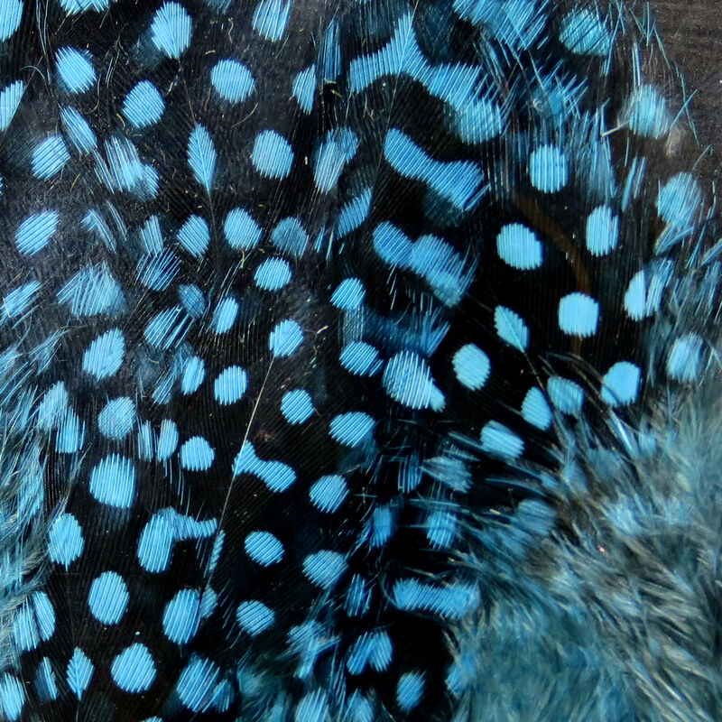 UV Large Dot Guinea Hackle