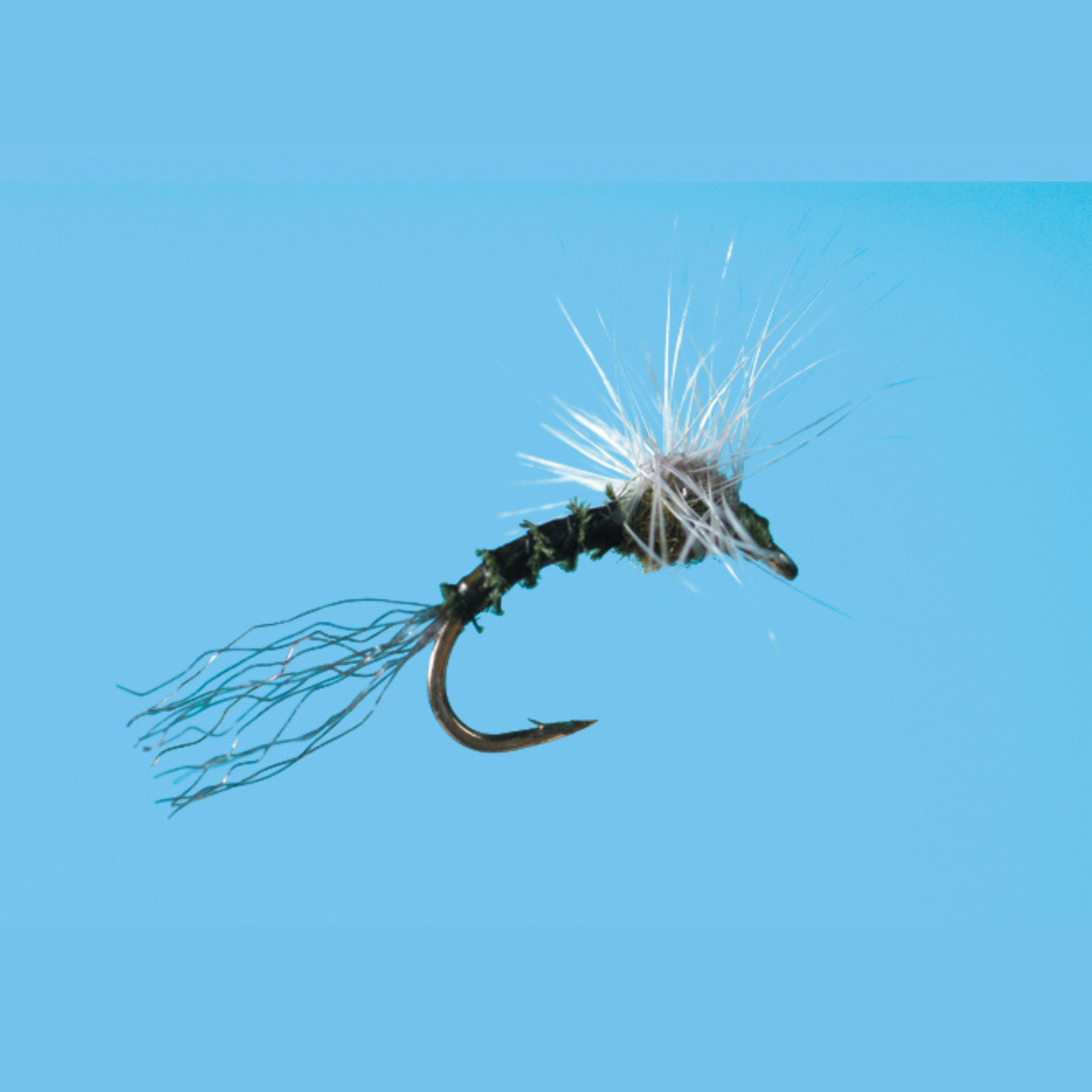 BWO Pull Over