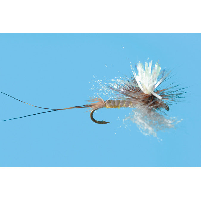 Sexy Hex Spinner (Glow in the dark)