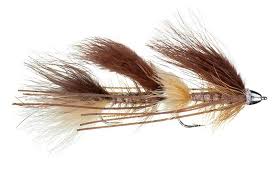 Galloup's Peanut Envy