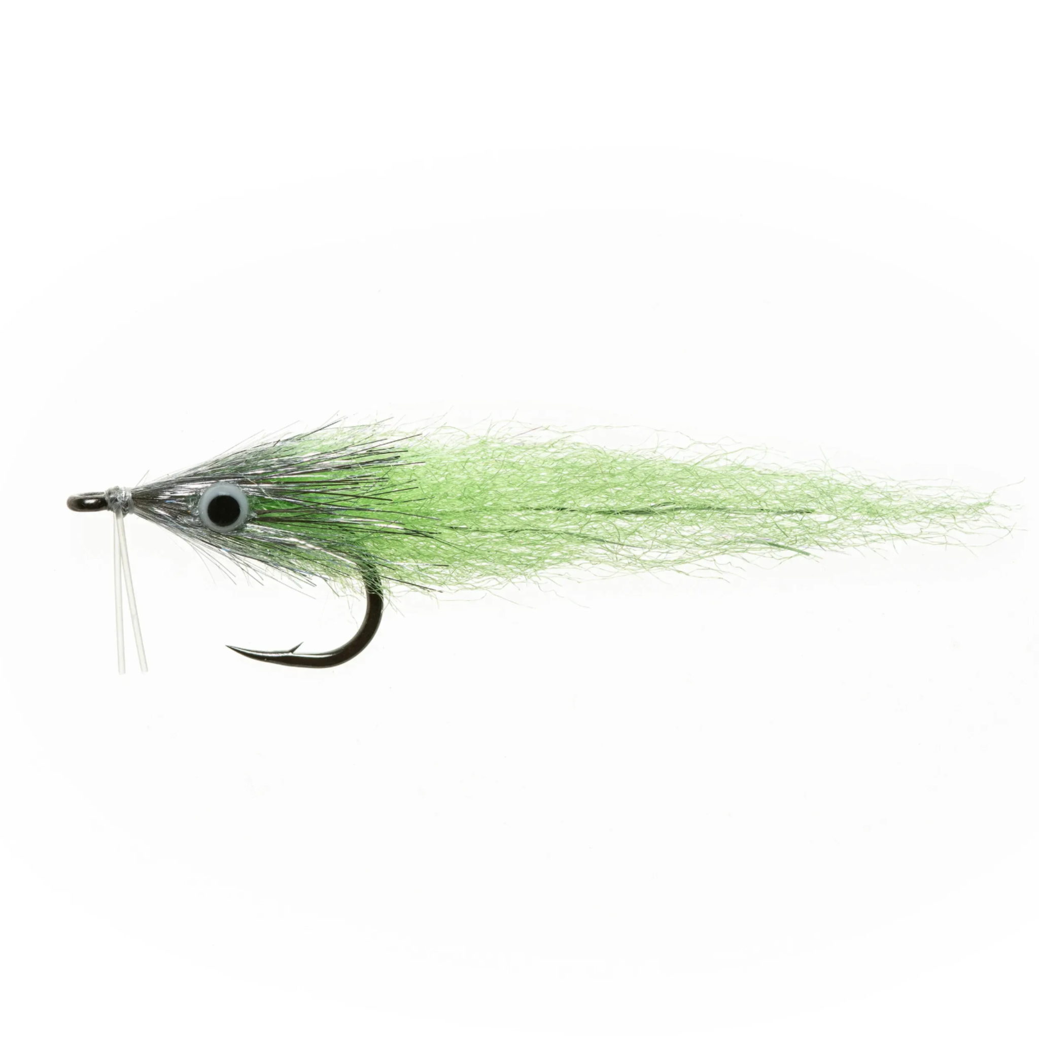 EP Bay Anchovy
