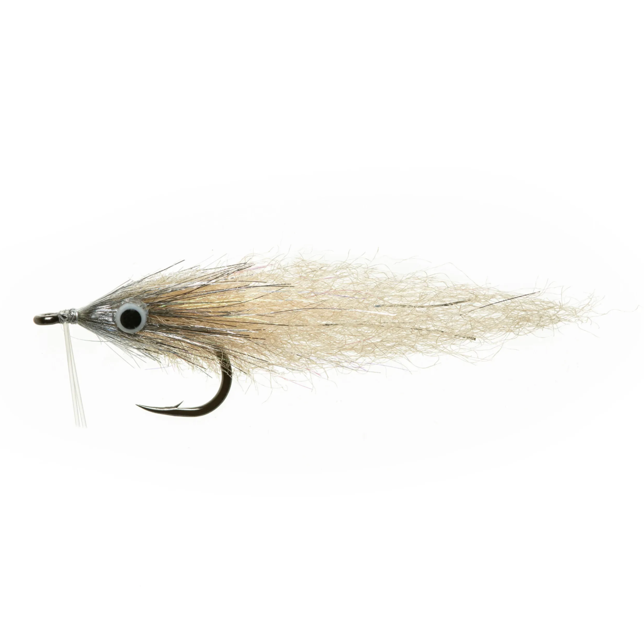EP Bay Anchovy