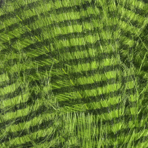 Fine Barred Black Marabou