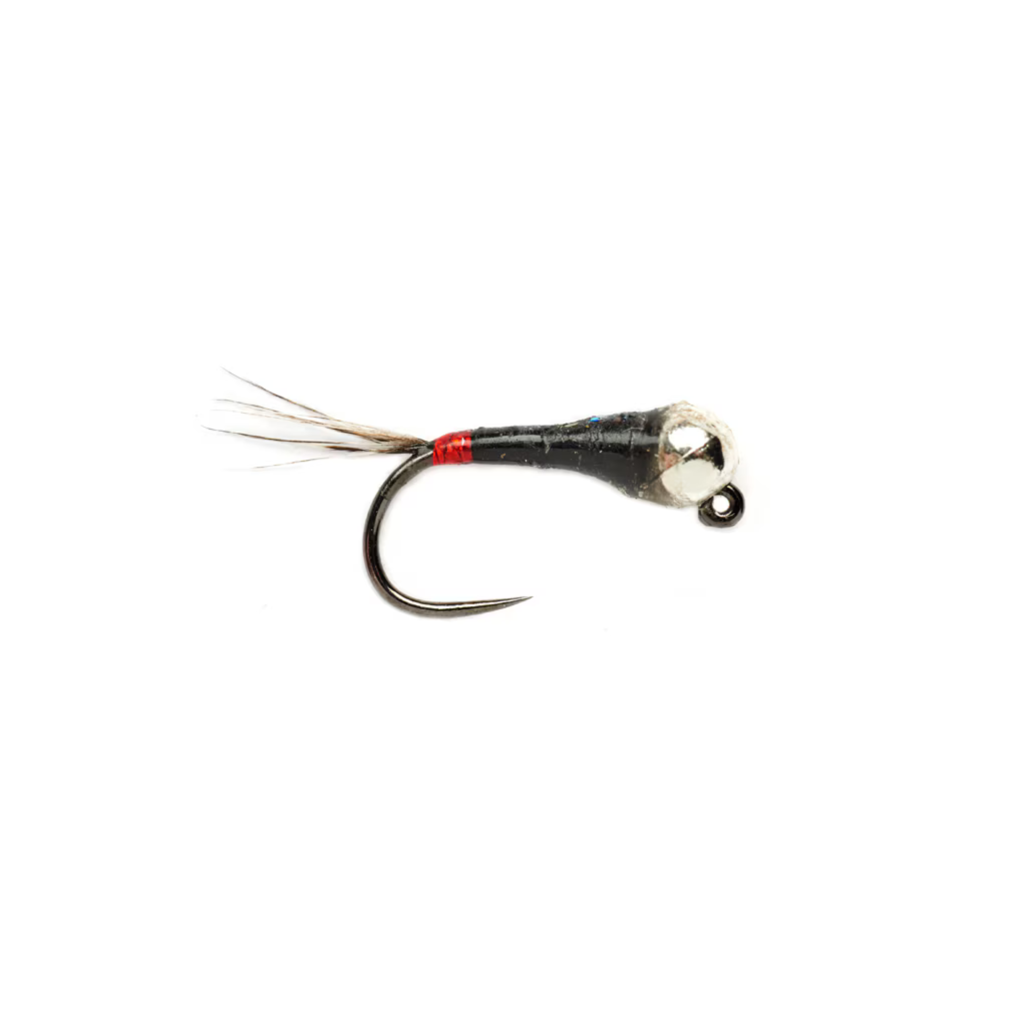 Spanish Bullet French