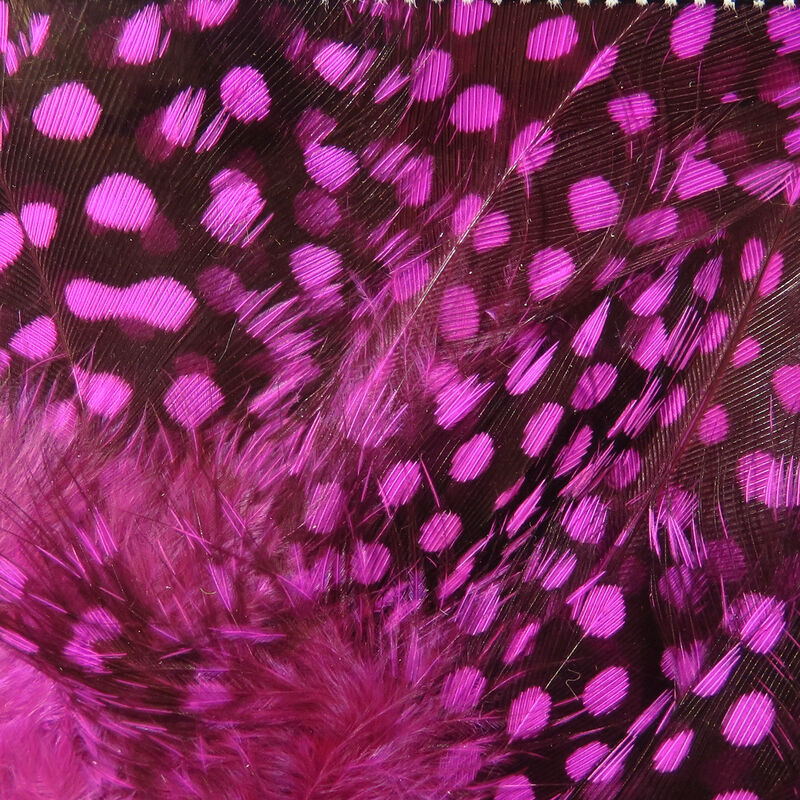 UV Large Dot Guinea Hackle