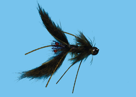 Mud Bug Crayfish