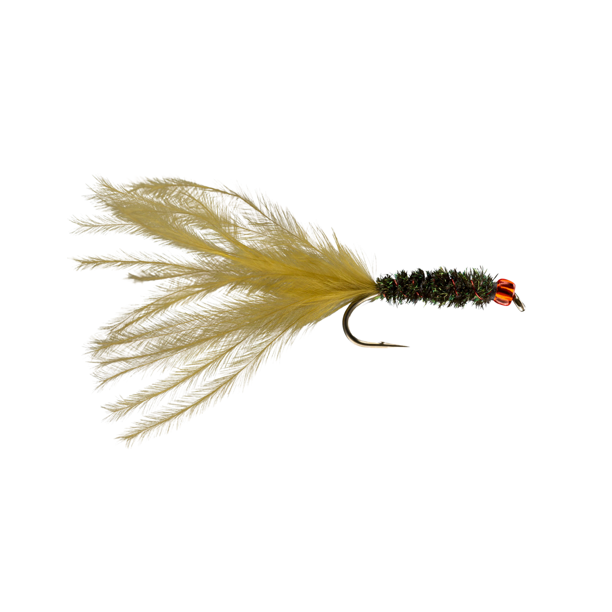 Rio's Red Head Leech