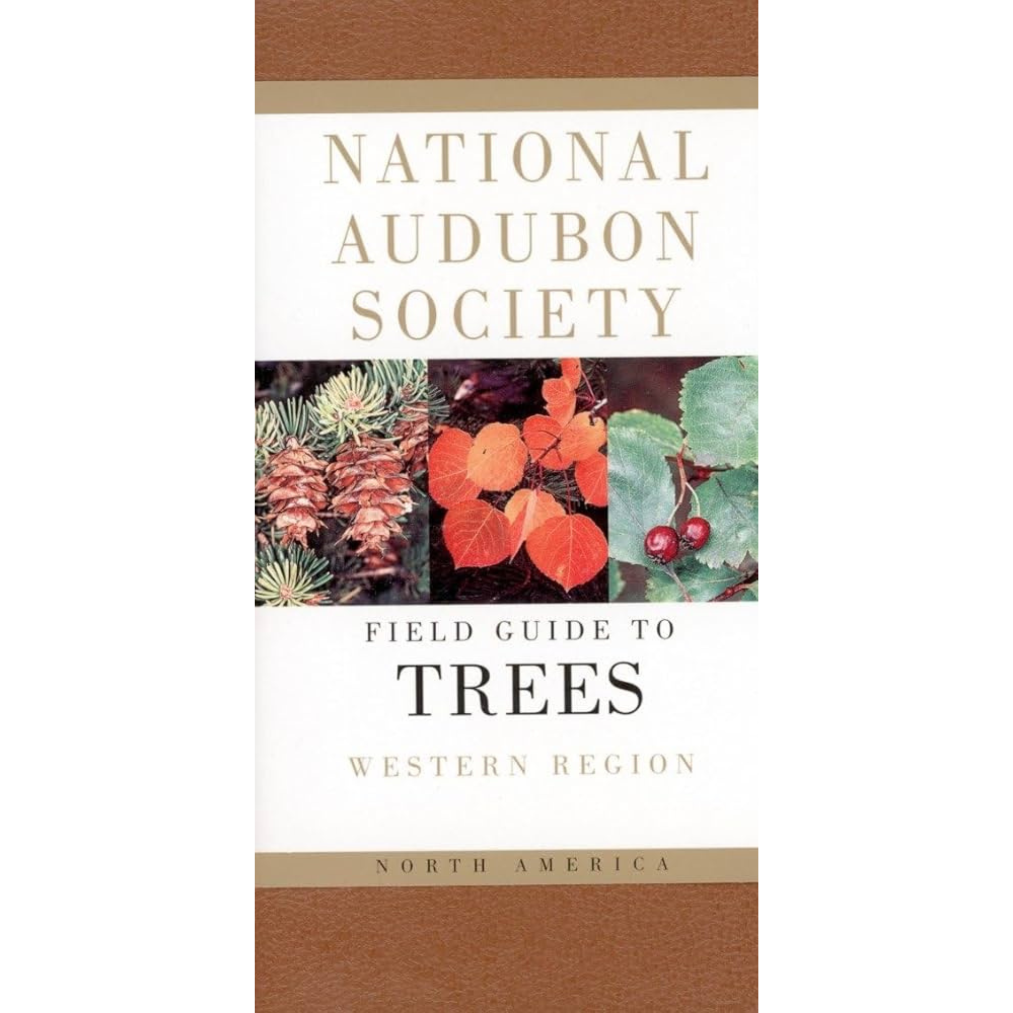 Audubon Pocket Guides: Trees (Western)