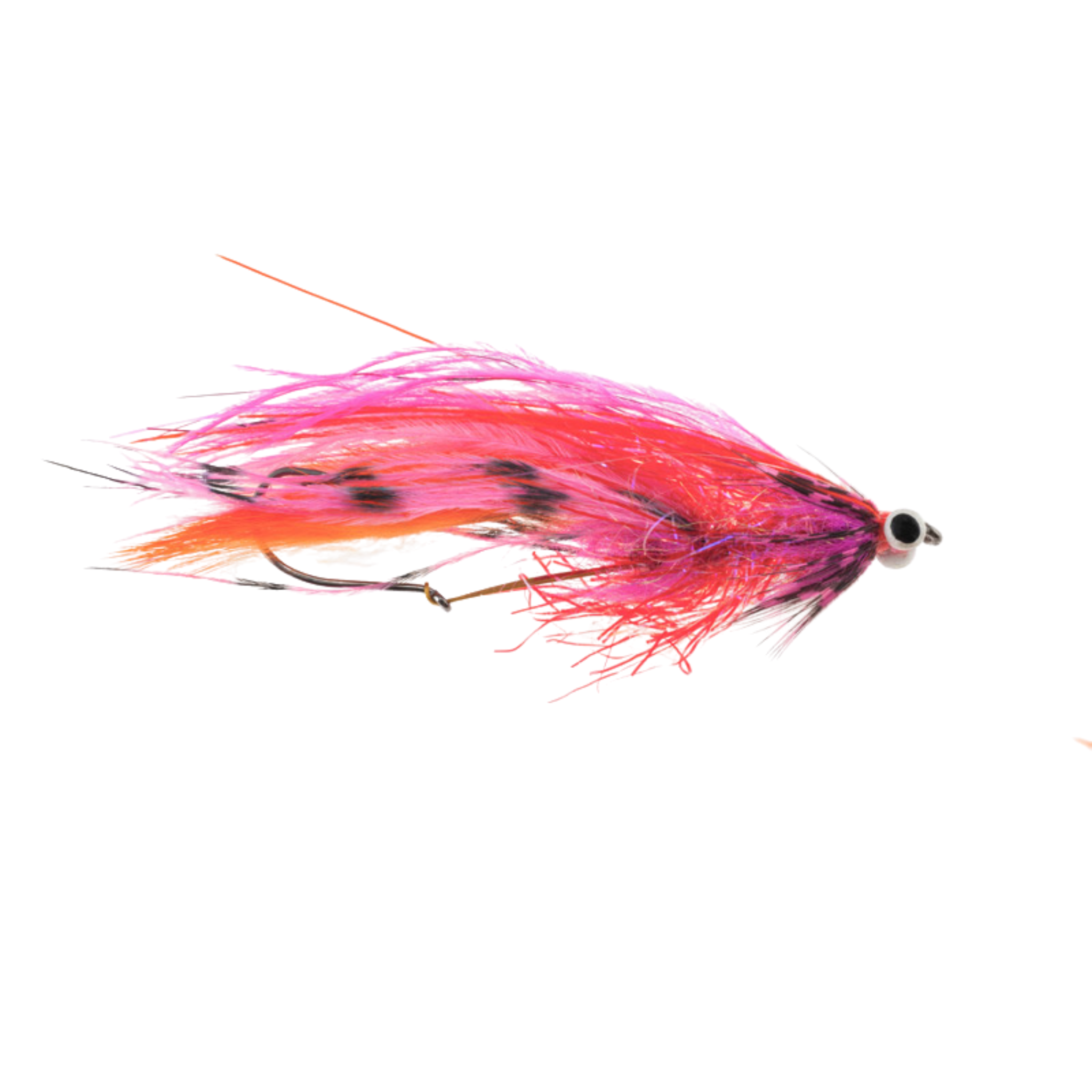 Crandall's Guides Choice