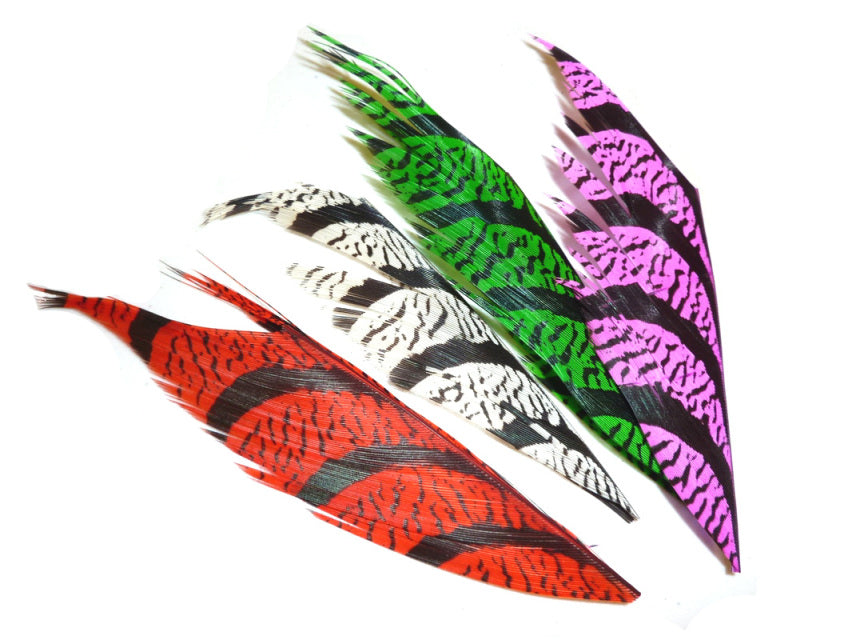 Lady Amherst Tail Piece