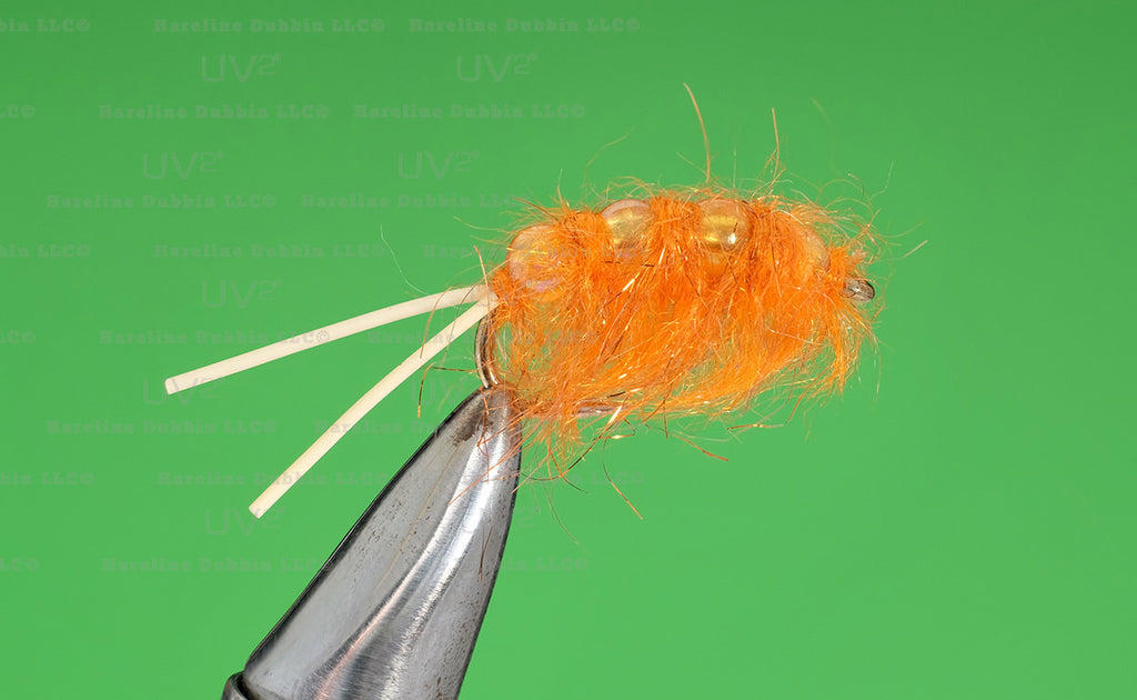 Perch Scud