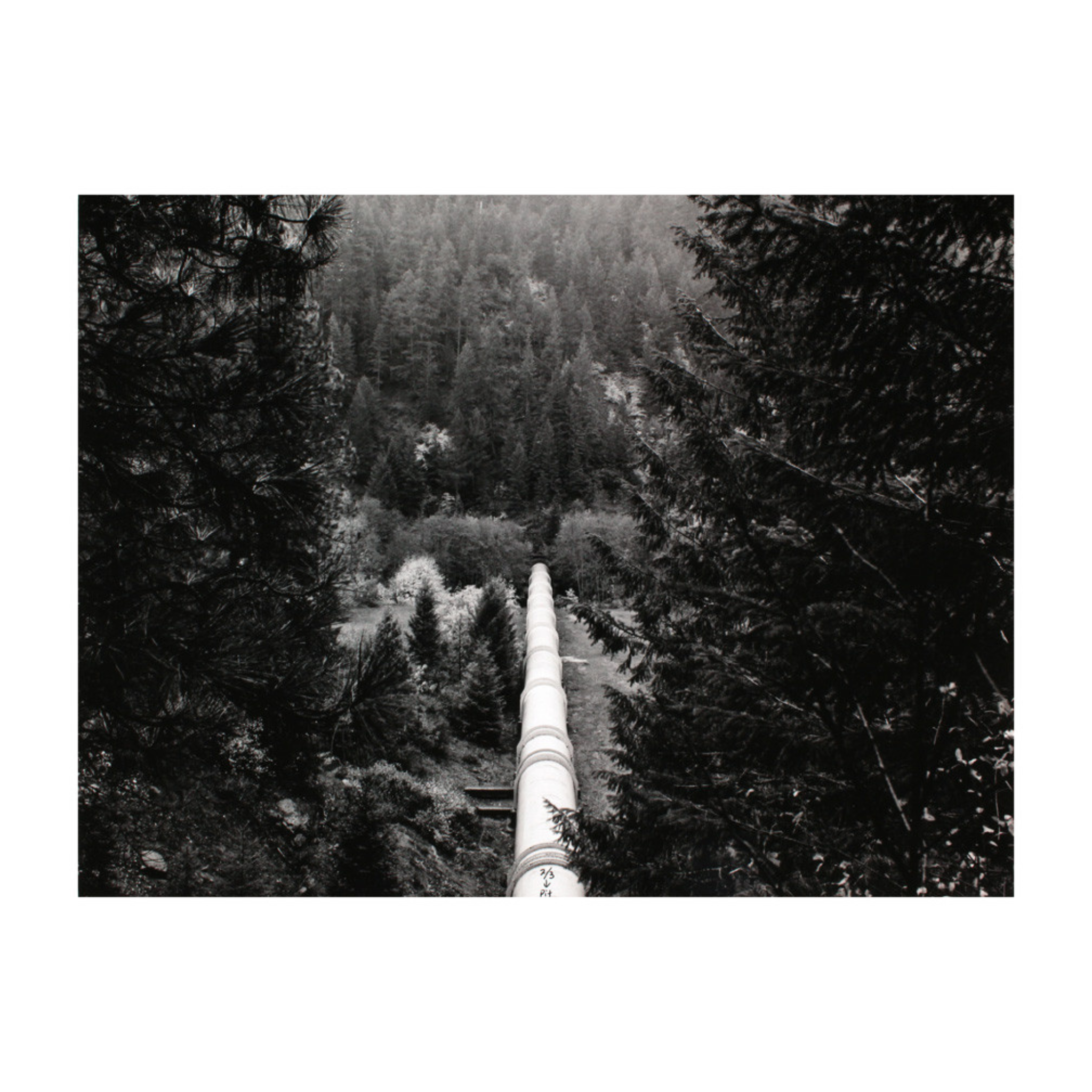 McCloud River a Book by John Rickard