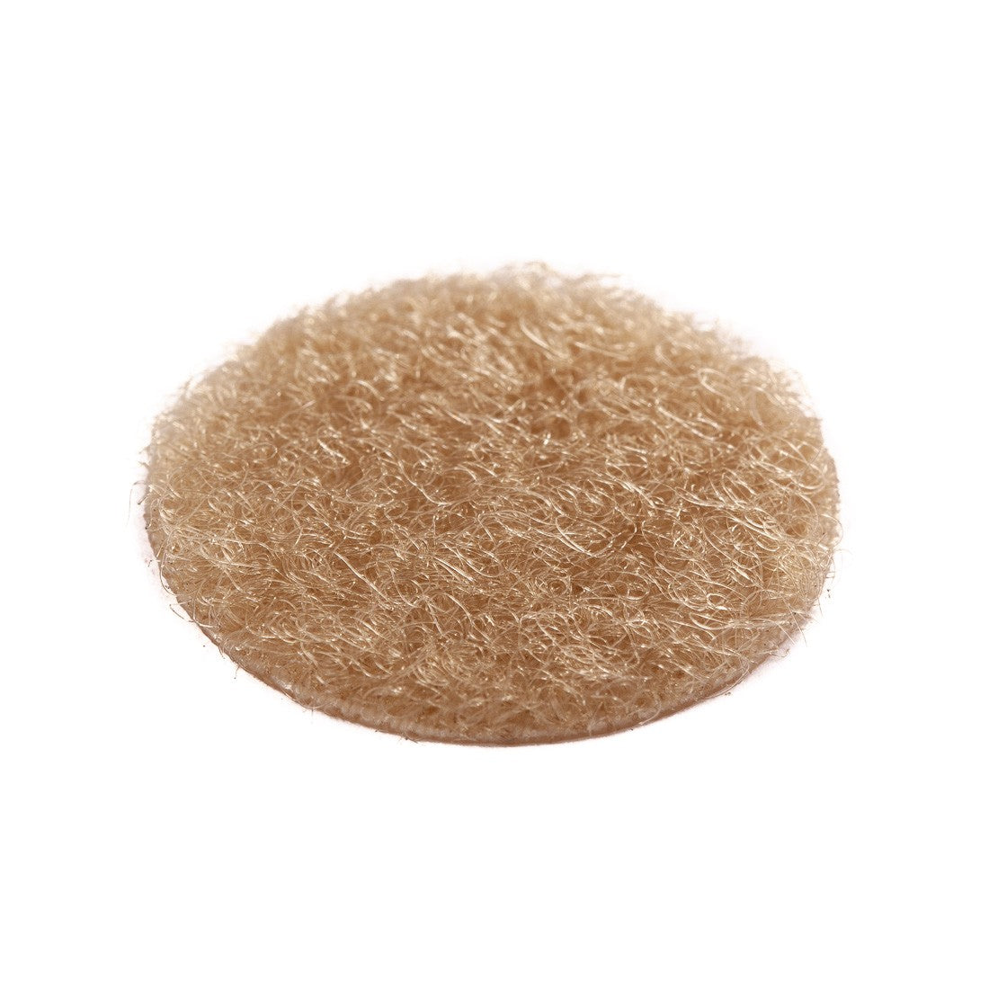 Crab Coins