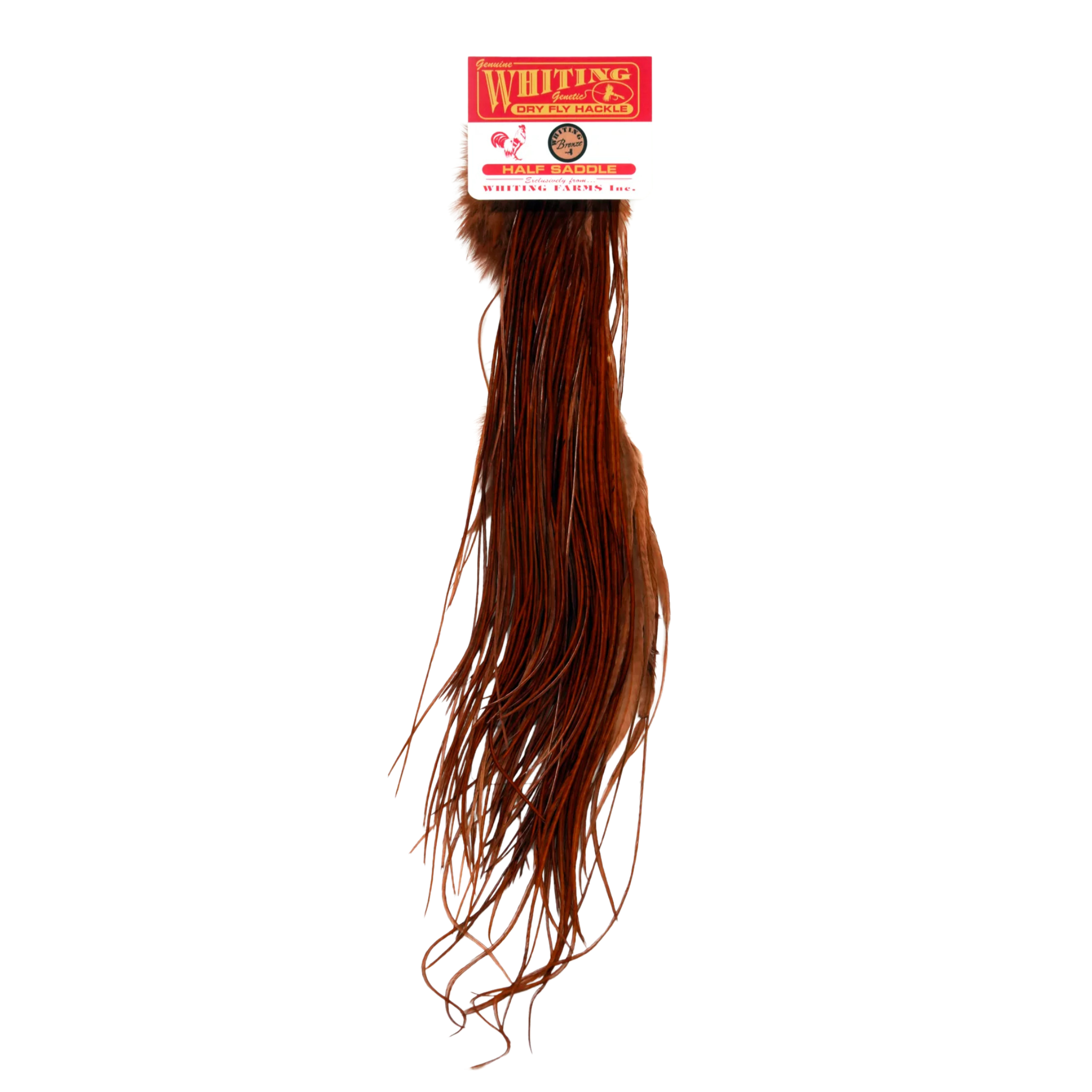 Whiting Farms Bronze Half Saddle