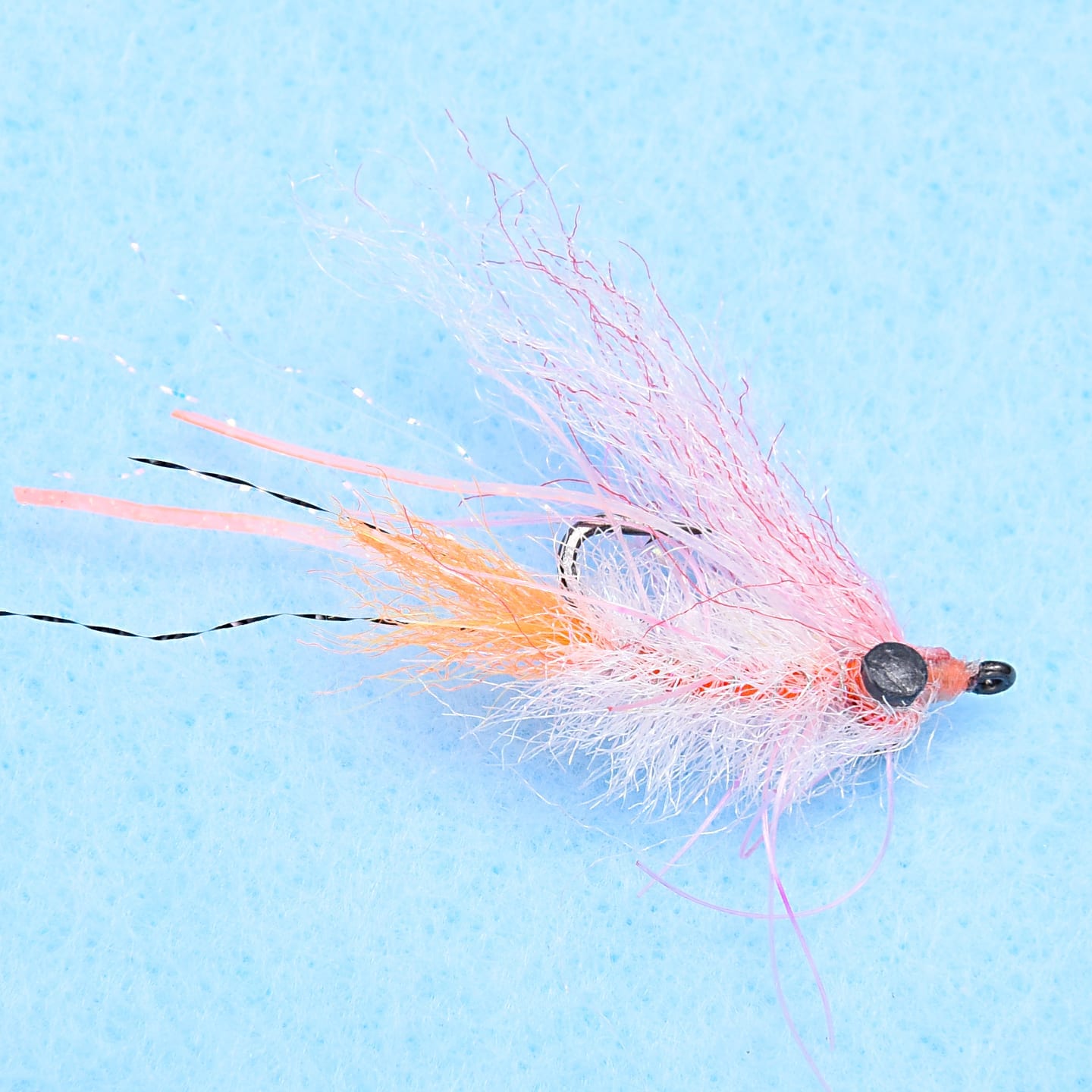 EP Bahamas Shrimp - Pink