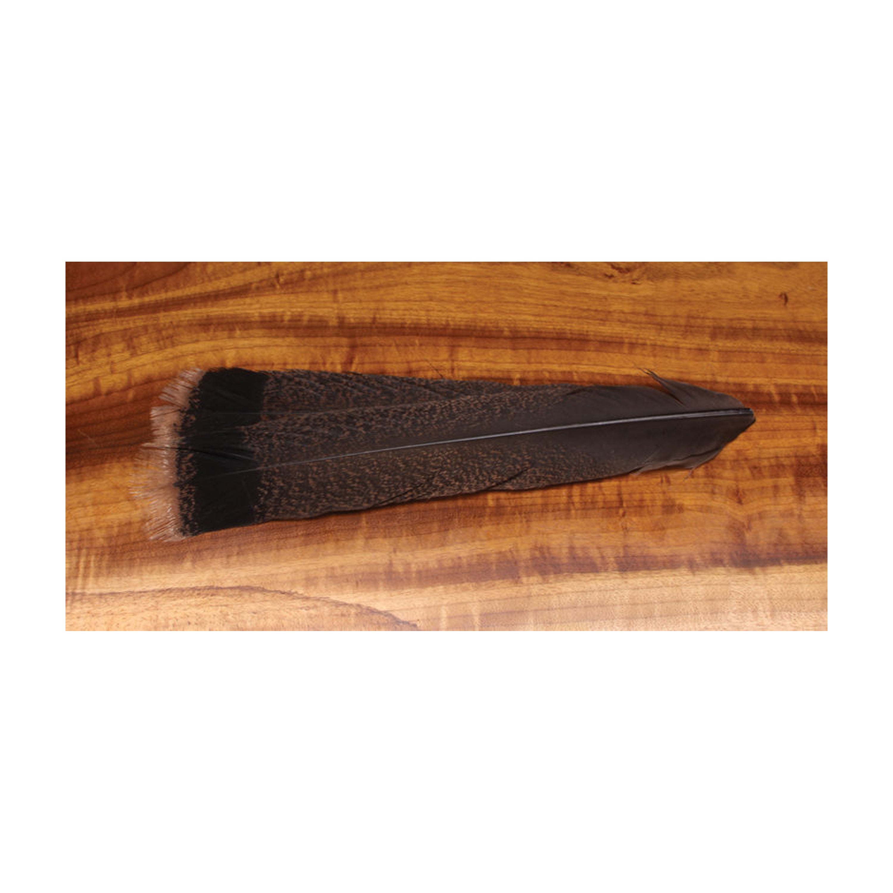 Turkey Tail Cinnamon Tip-Select