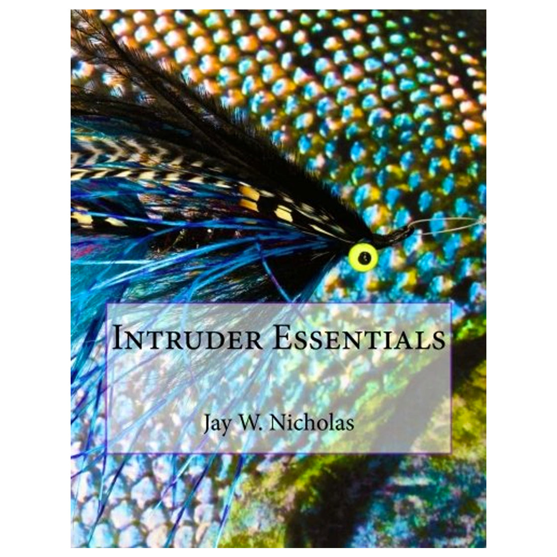 Intruder Essentials