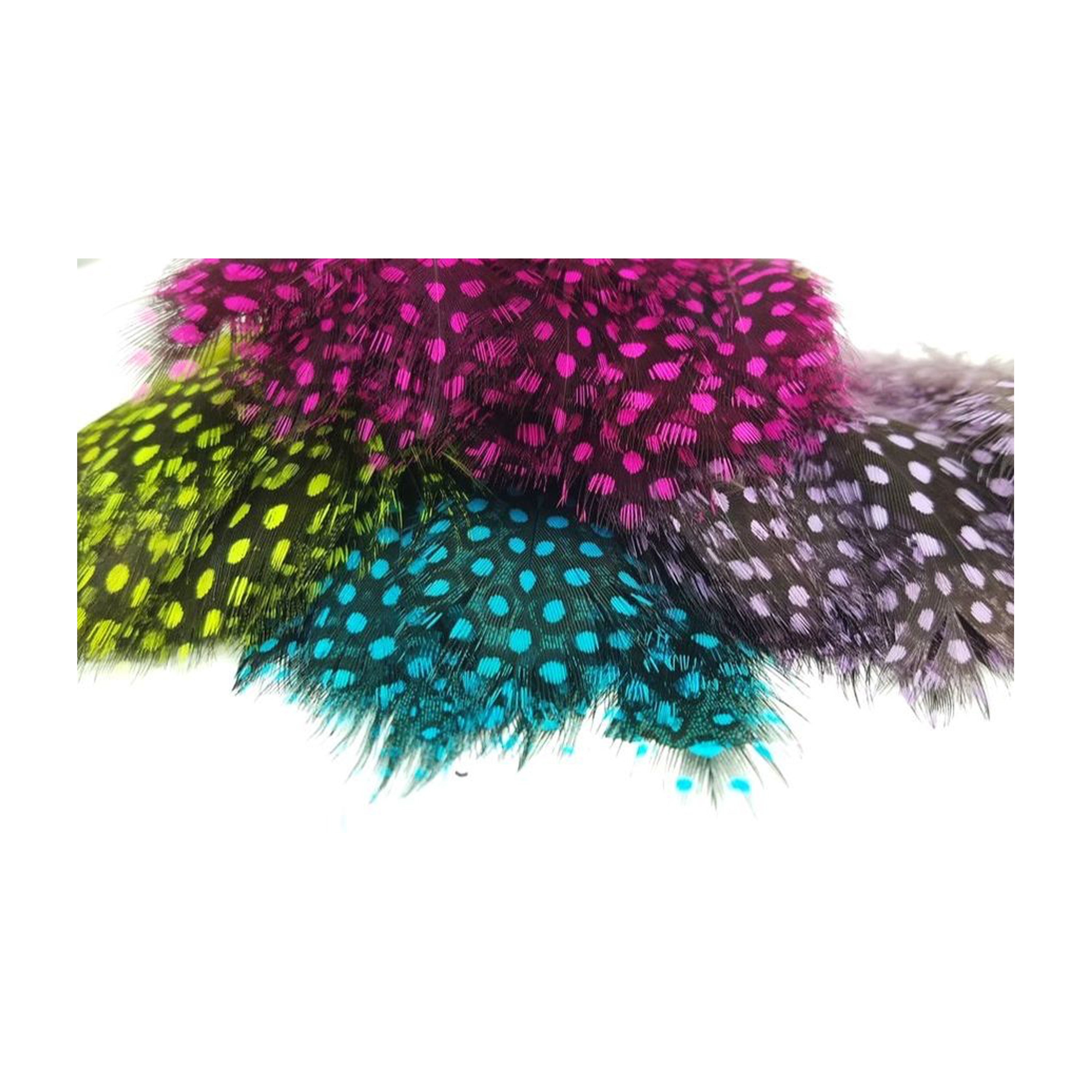 Large Dot Guinea Hackle