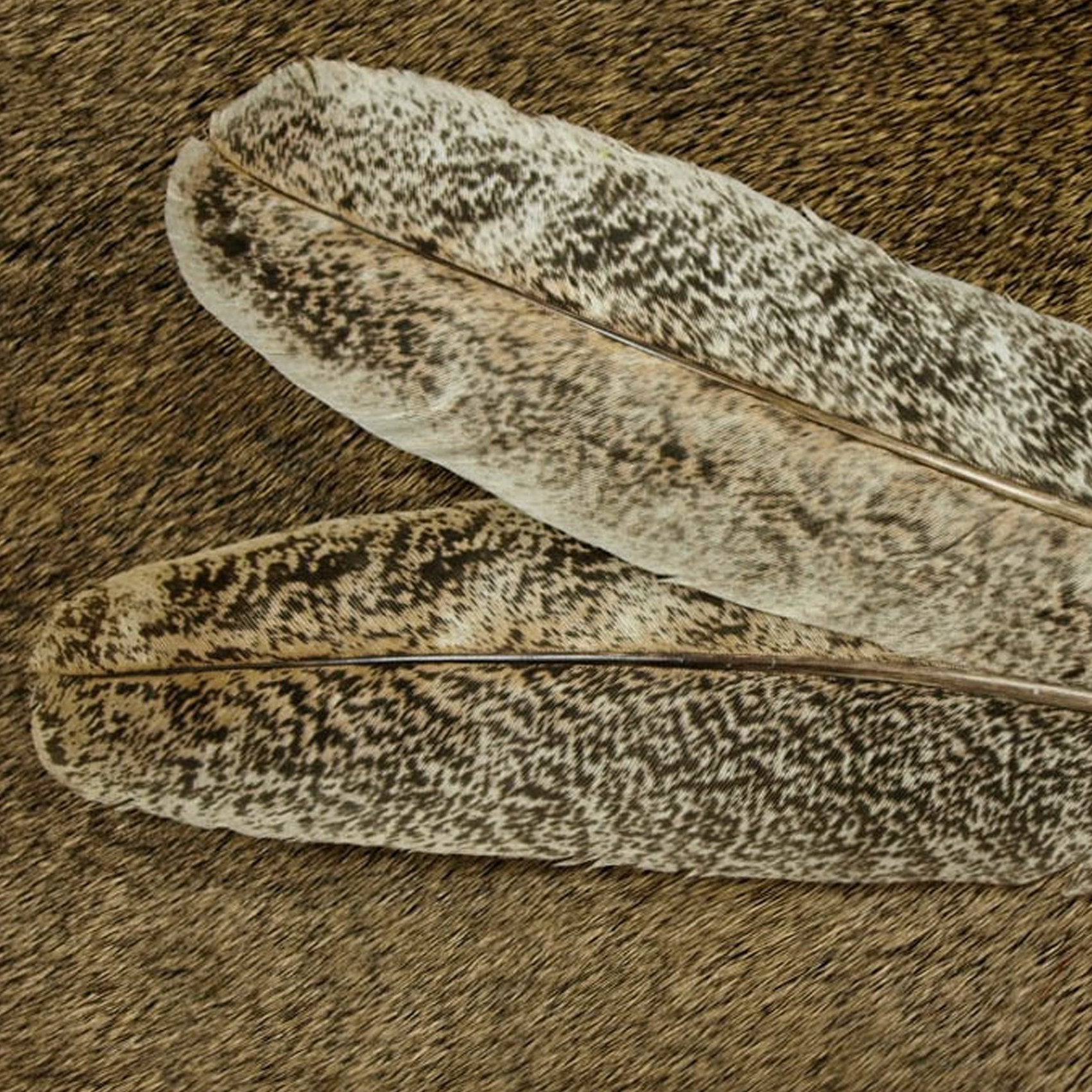 Select Ozark Oak Mottled Turkey Quill