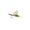 Parawulff
