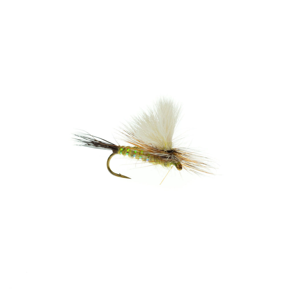 Parawulff