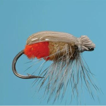 Sand Crab Fly