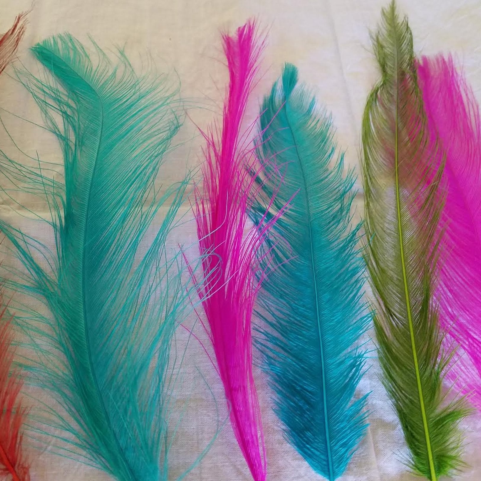 Siskiyou Aviary Rhea