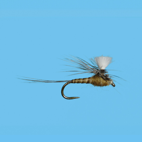 CDC Para-Spinner BWO