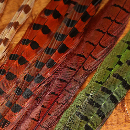 Ringneck Pheasant Tail Feathers