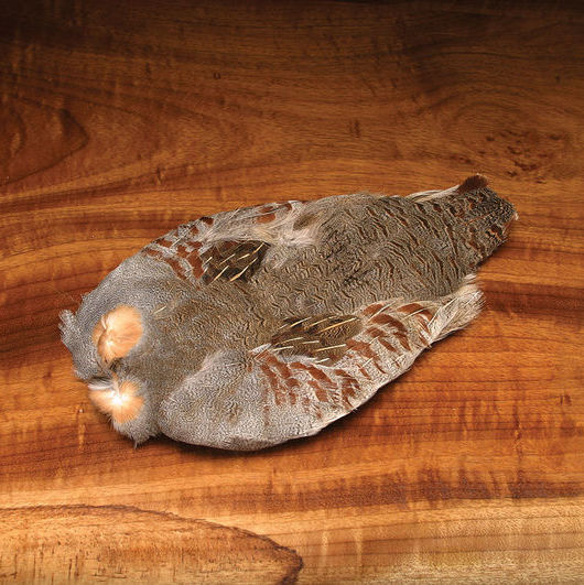 Hungarian Partridge Skin #1