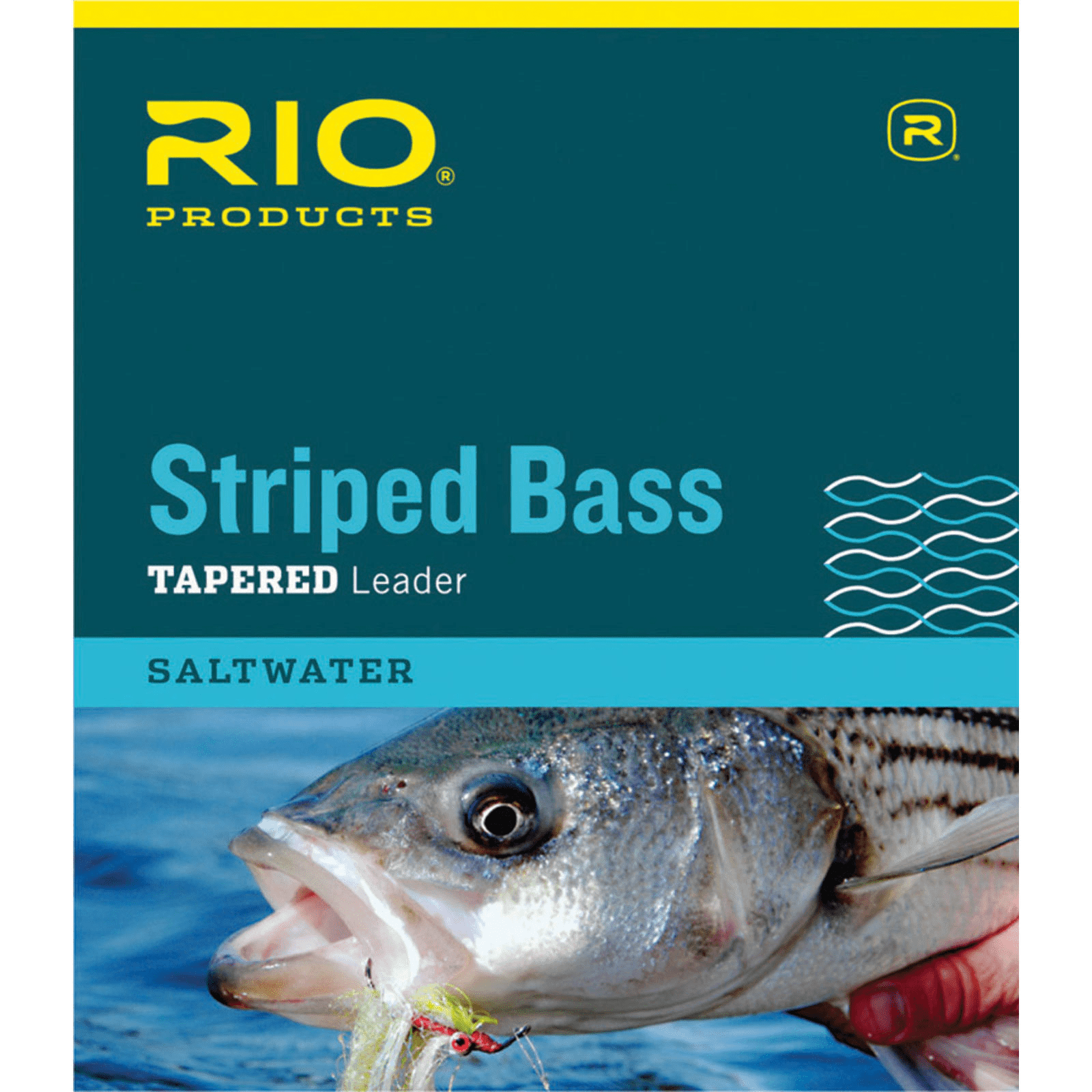 Rio Striped Bass Tapered Leader - 7'