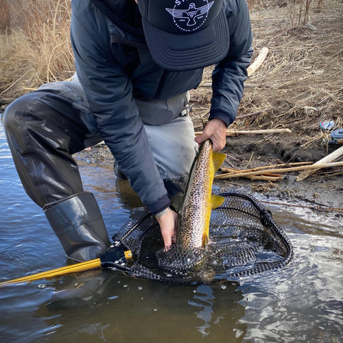 Truckee River Fly Fishing Report