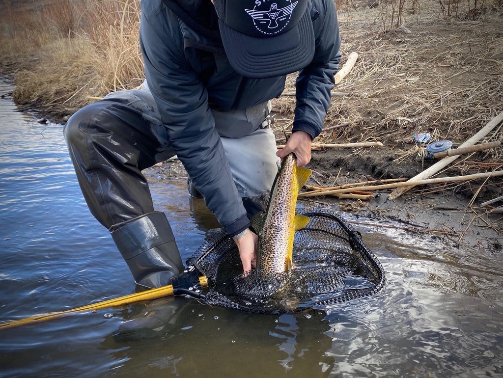 Truckee River Fly Fishing Report