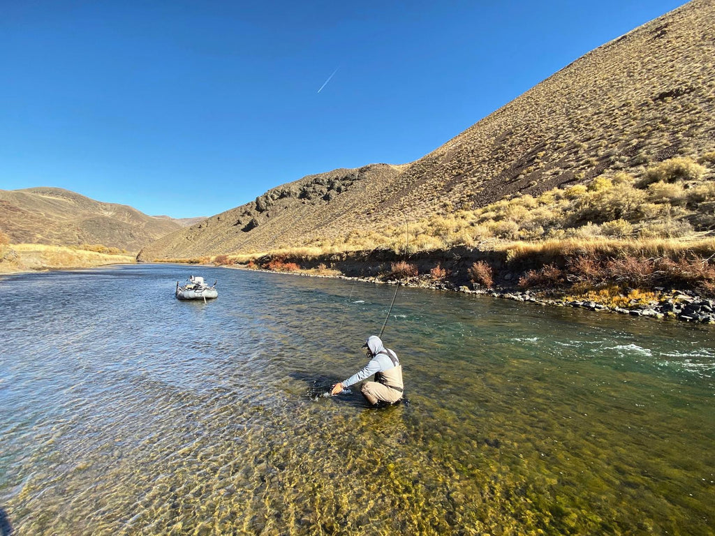 Truckee River Fly Fishing Report