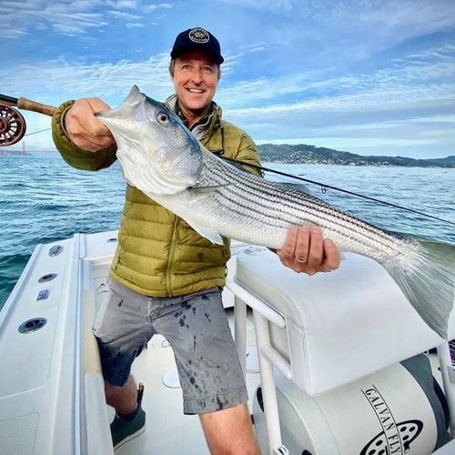 San Francisco Bay Area Striper Report