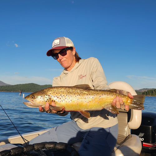 Lake Almanor Fly Fishing Report