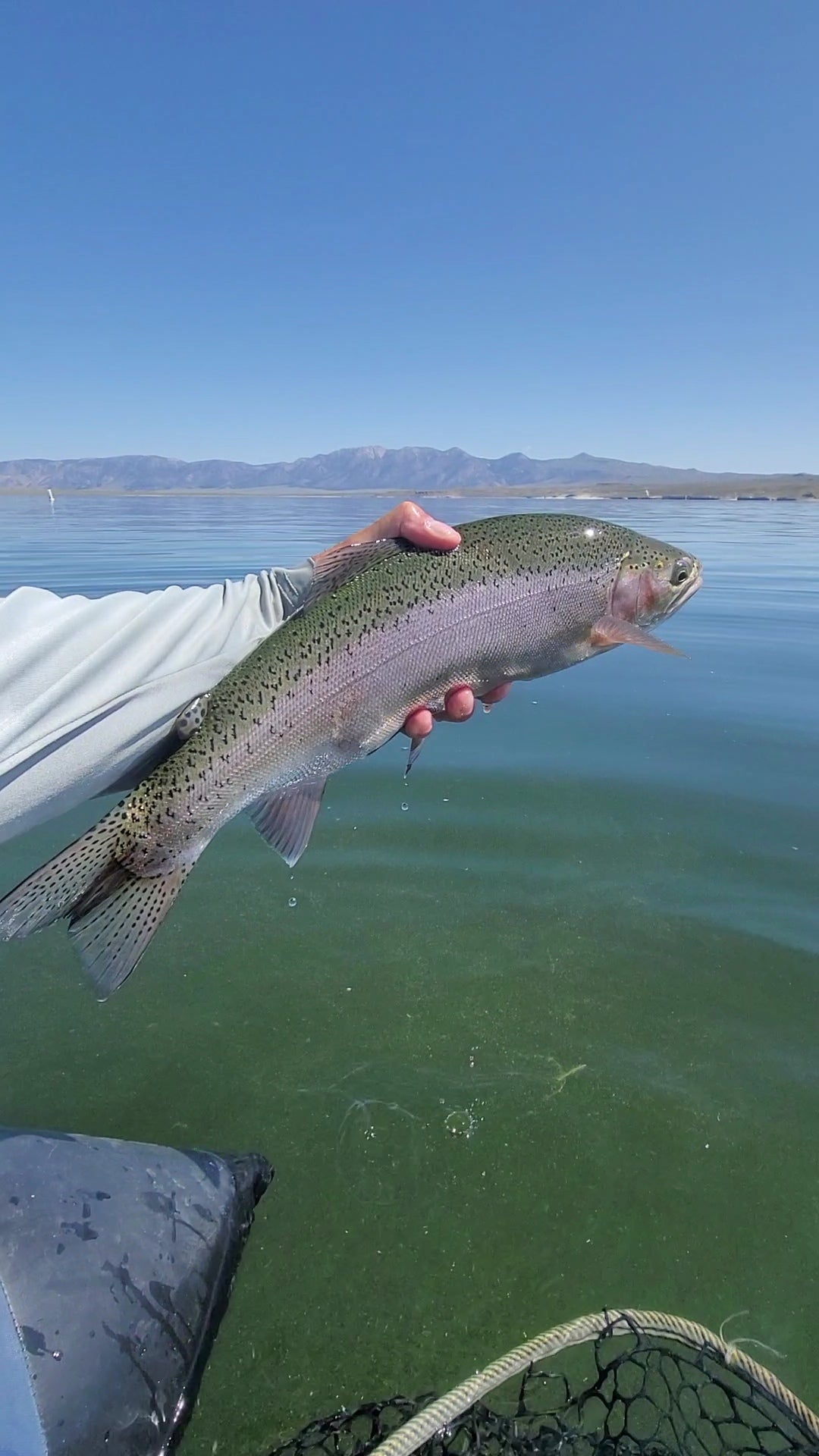 Eastern Sierra Fly Fishing Report