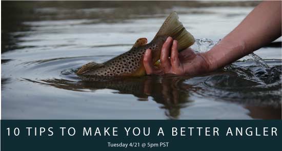 10 Tips to Make you a Better Angler