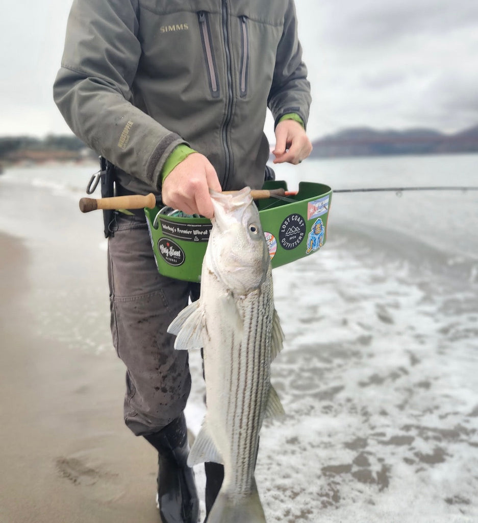 SF Bay Fly Fishing Report
