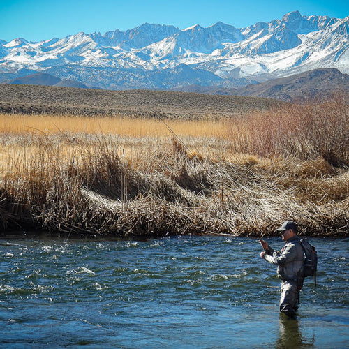 Eastern Sierra Fly Fishing Report