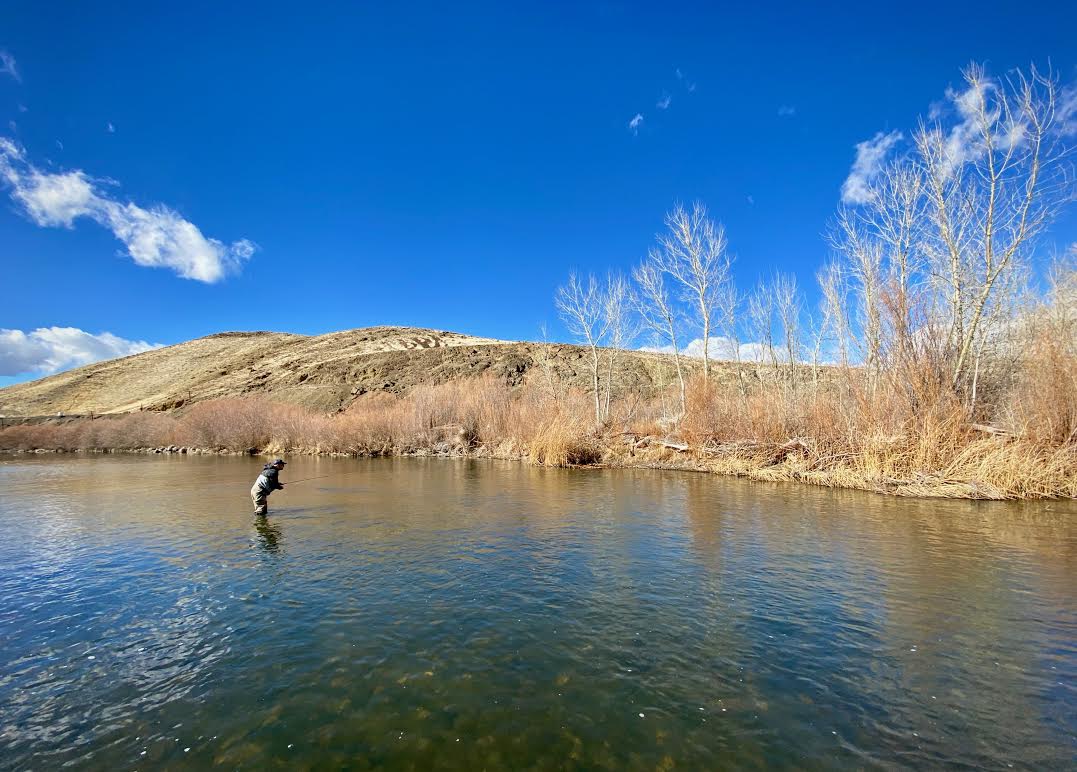 Truckee River Fly FIshing Report