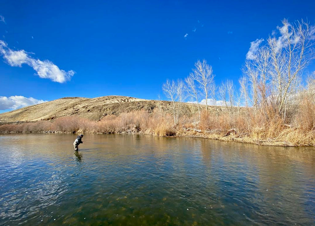 Truckee River Fly FIshing Report
