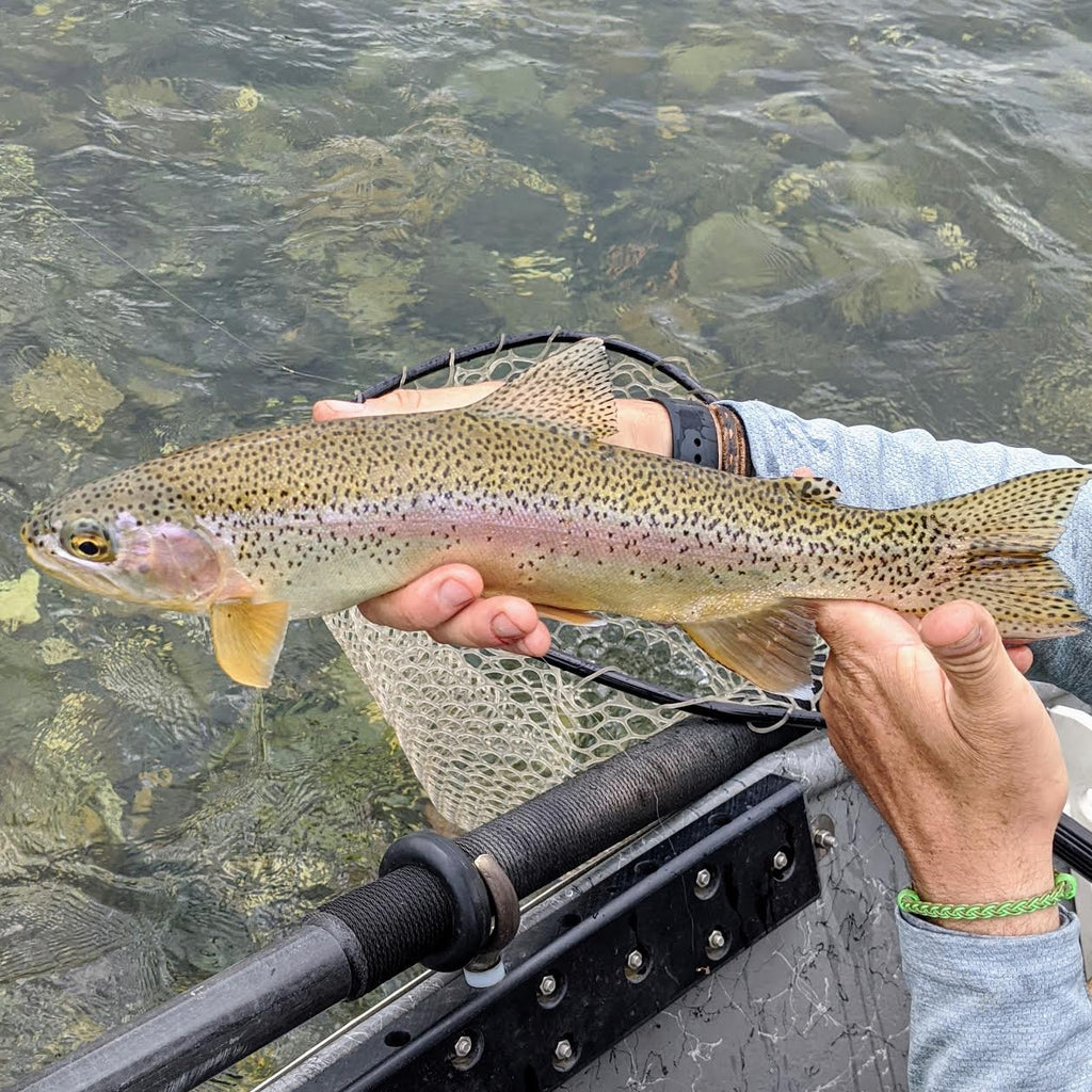 Central Valley Fly Fishing Report