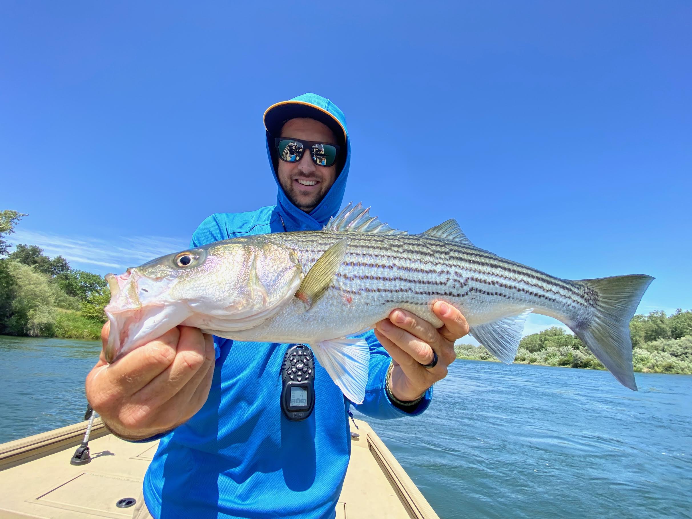 Central Valley Fly Fishing Report