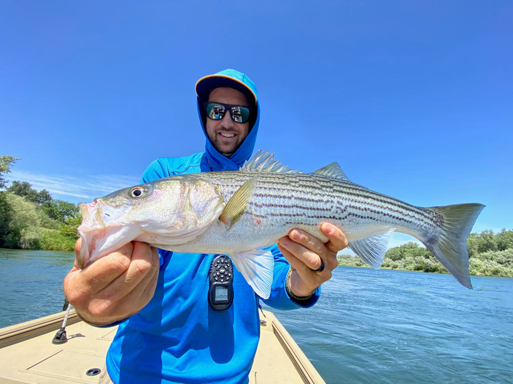 Central Valley Fly Fishing Report