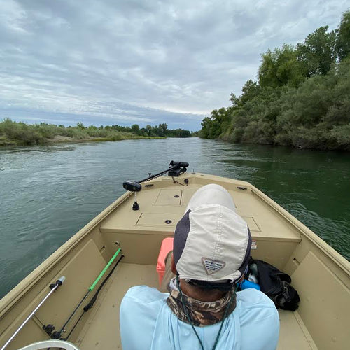 Central Valley Fly Fishing Report