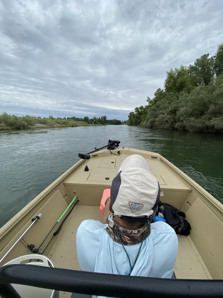 Central Valley Fly Fishing Report