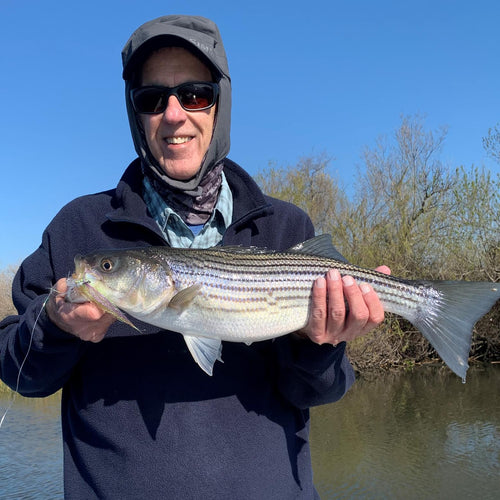 California Delta Fly Fishing Report